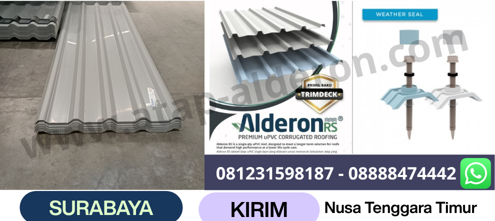 alderon grey nusa tenggara timur