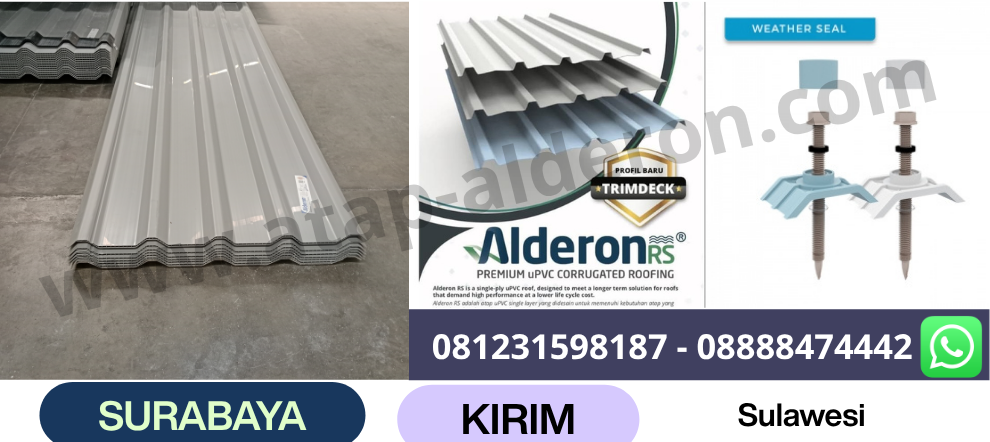 alderon grey papua sulawesi