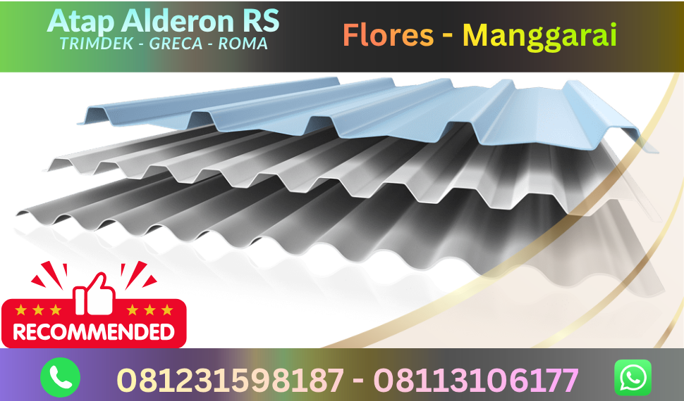 alderon rs flores manggarai
