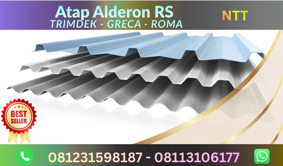 alderon rs ntt